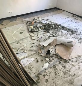  Agema Belgium - Galerie photo