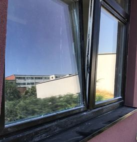  Agema Belgium - Galerie photo