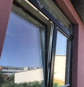  Agema Belgium - Galerie photo