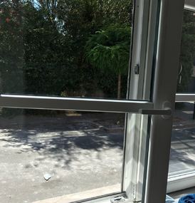  Agema Belgium - Galerie photo