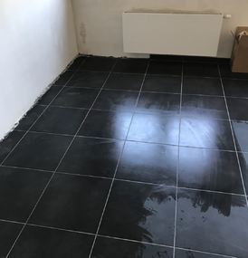  Agema Belgium - Galerie photo