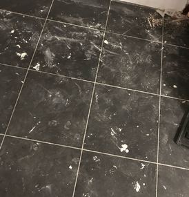  Agema Belgium - Galerie photo