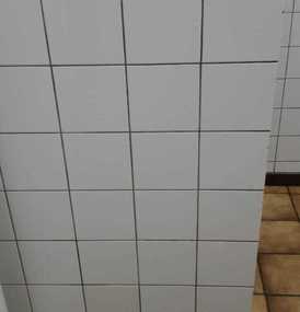  Agema Belgium - Galerie photo