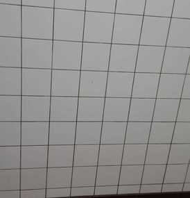  Agema Belgium - Galerie photo