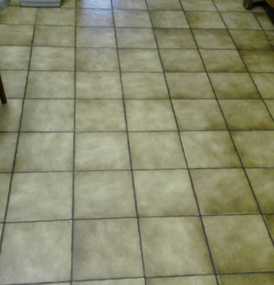  Agema Belgium - Galerie photo