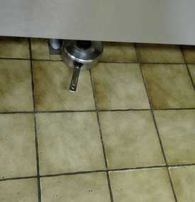  Agema Belgium - Galerie photo