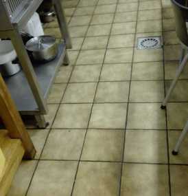  Agema Belgium - Galerie photo